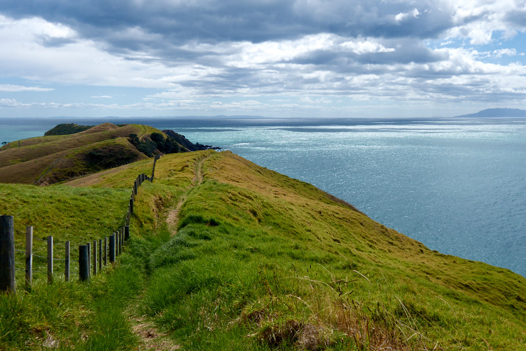 Coromandel Peninsula