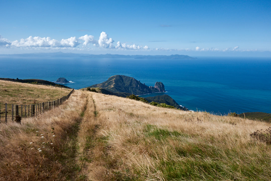 Coromandel Peninsula