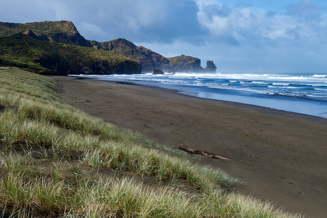 Bethells Beach