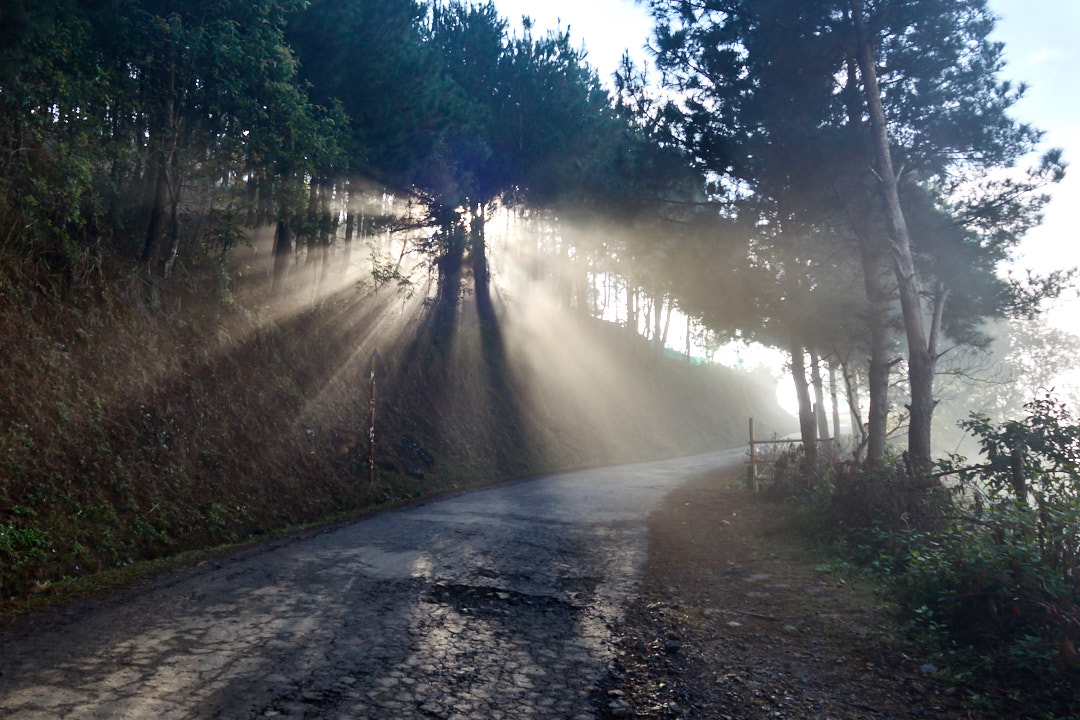 Vietnamese landscape